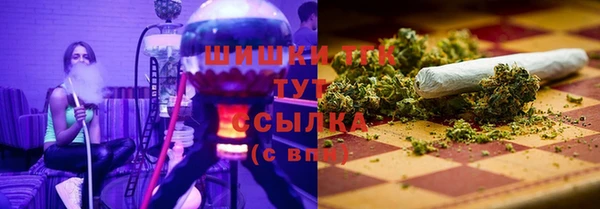 спайс Вяземский